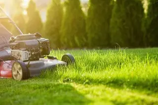 Mower cutting long grass at Parkvale NZ