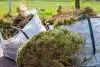 green waste bags Gerard's lawn mowing Tauranga