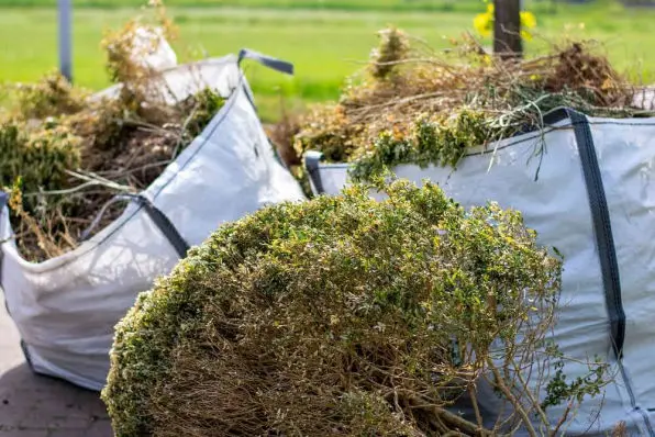 Shrubs in bags in Tauranga