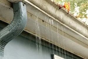 Gutter blocked in Tauranga