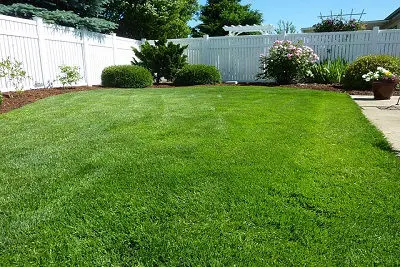 red mower cutting grass at Bethlehem
